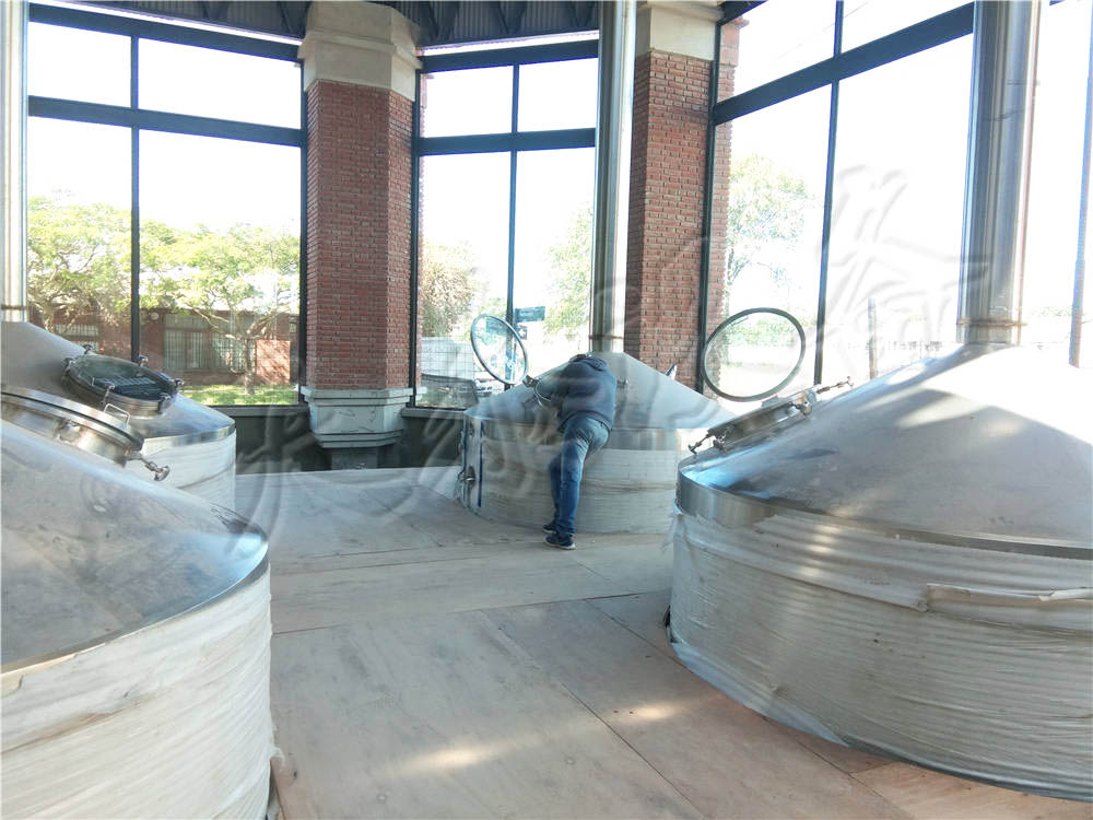 阿根廷10吨啤酒酿造